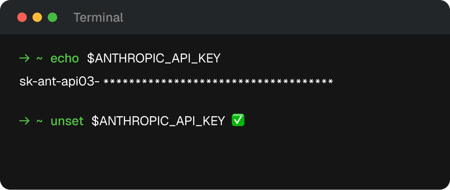 Checking for ANTHROPIC_API_KEY in your shell